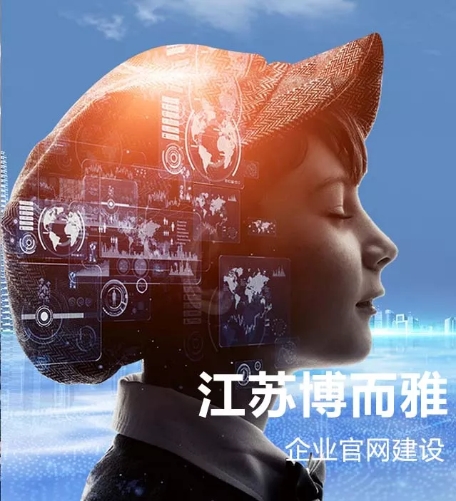 江苏博而雅科技官网建设