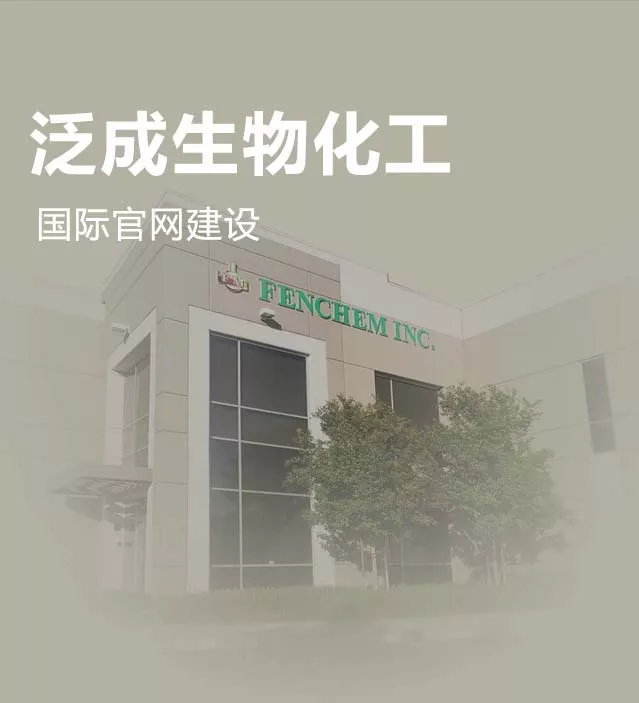 泛成国际官网建设
